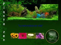 /album/fotogaleria-emprendimiento/super-logo-jpg/